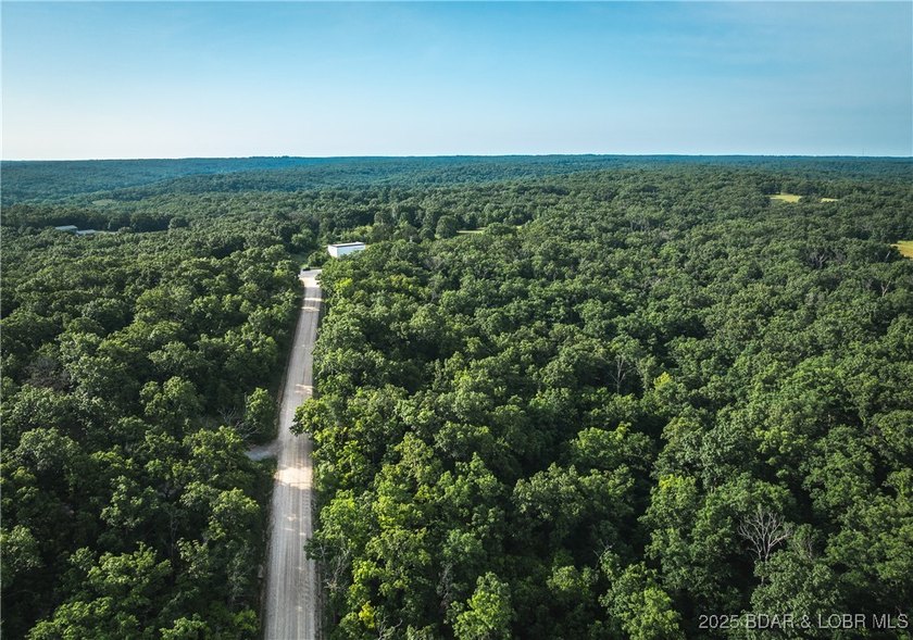 Escape to 9.5+/- acres of untouched Ozark timberland just - photo 2