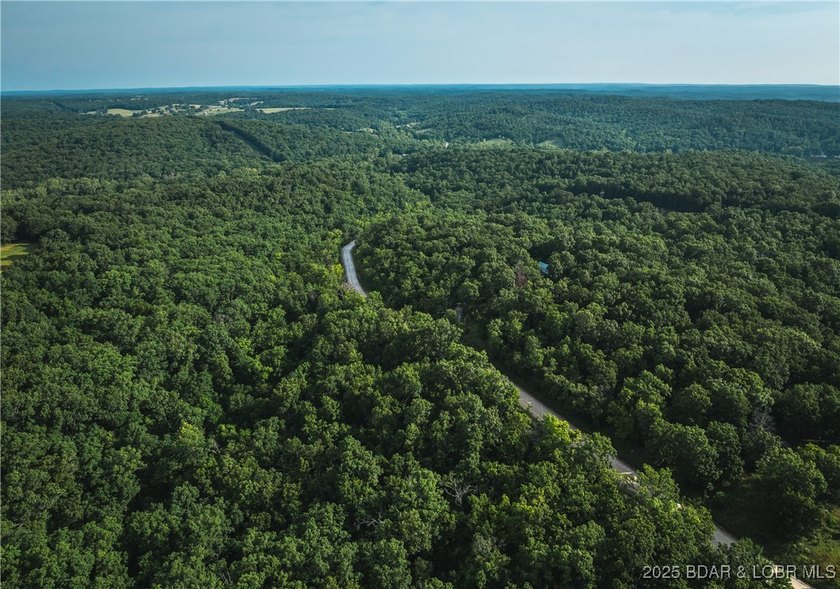 Escape to 9.5+/- acres of untouched Ozark timberland just - photo 5