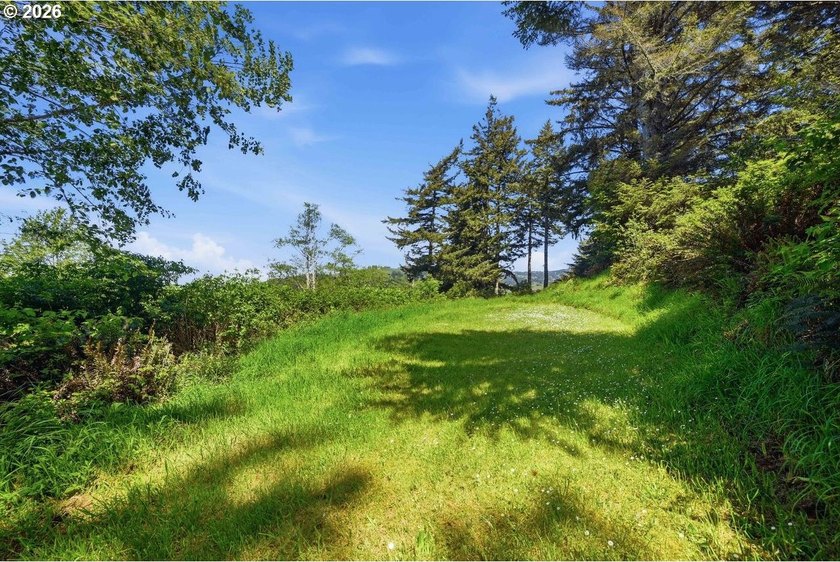 Gorgeous Ocean and Mountain Views from this beautiful 2.6 acres - photo 11