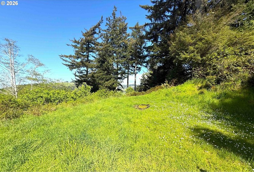 Gorgeous Ocean and Mountain Views from this beautiful 2.6 acres - photo 12
