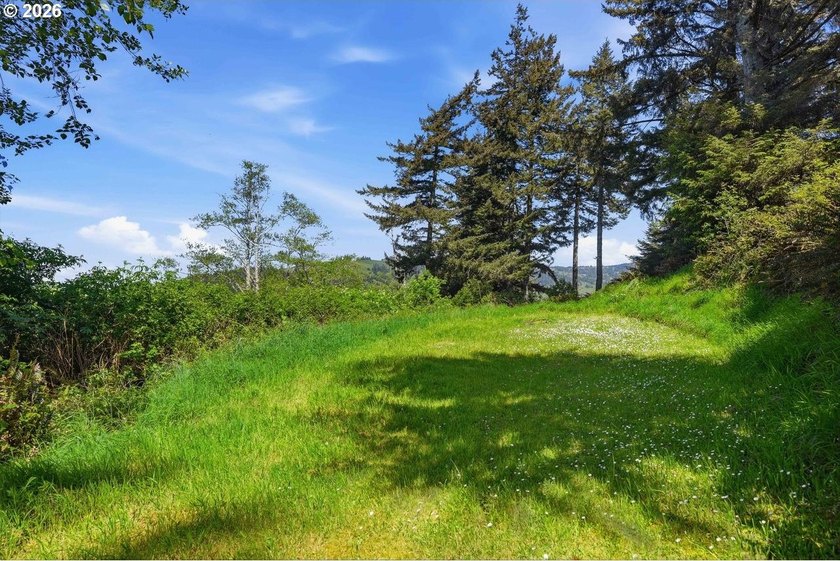 Gorgeous Ocean and Mountain Views from this beautiful 2.6 acres - photo 14