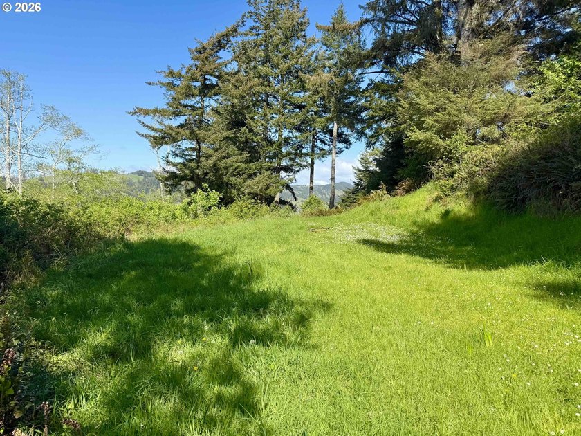 Gorgeous Ocean and Mountain Views from this beautiful 2.6 acres - photo 15
