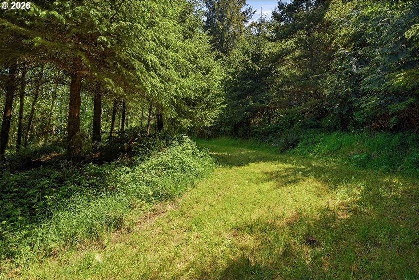 Gorgeous Ocean and Mountain Views from this beautiful 2.6 acres - photo 17