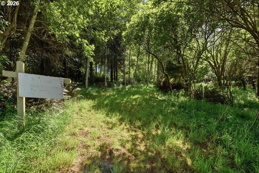 Gorgeous Ocean and Mountain Views from this beautiful 2.6 acres - photo 19