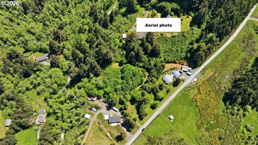 Gorgeous Ocean and Mountain Views from this beautiful 2.6 acres - photo 22
