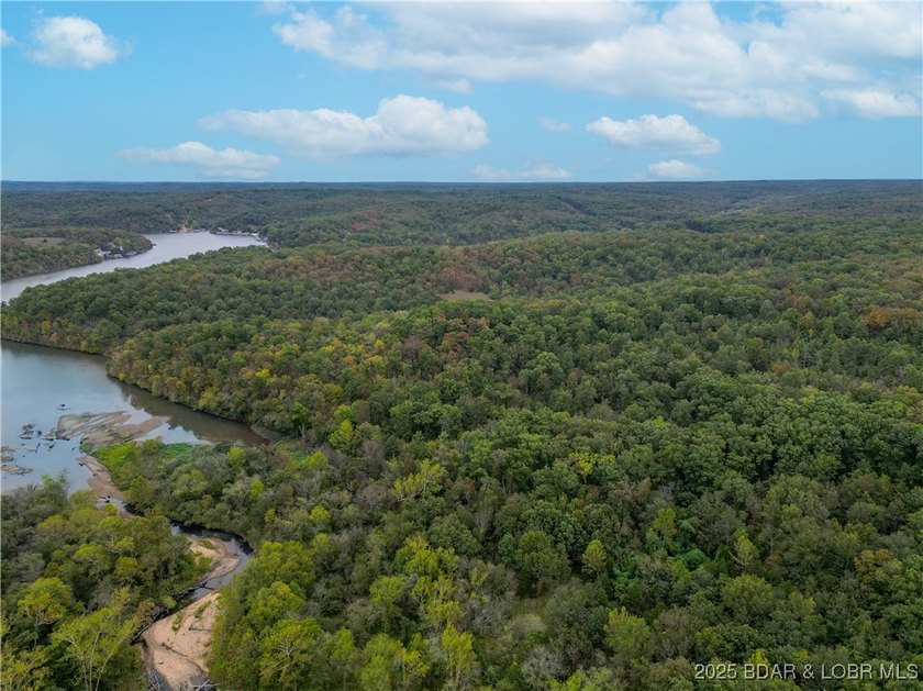 Introducing 25.5 +/- wooded acres with valuable lake frontage on - photo 3