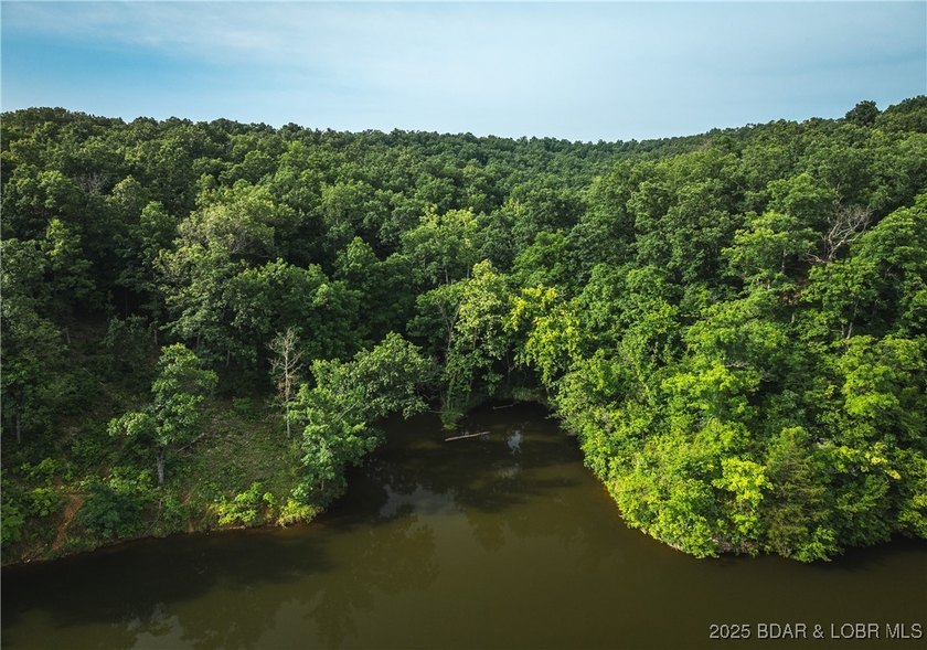 Introducing 25.5 +/- wooded acres with valuable lake frontage on - photo 10