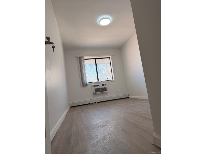 Newly renovated 1-bedroom condo with a spacious living room and - photo 3