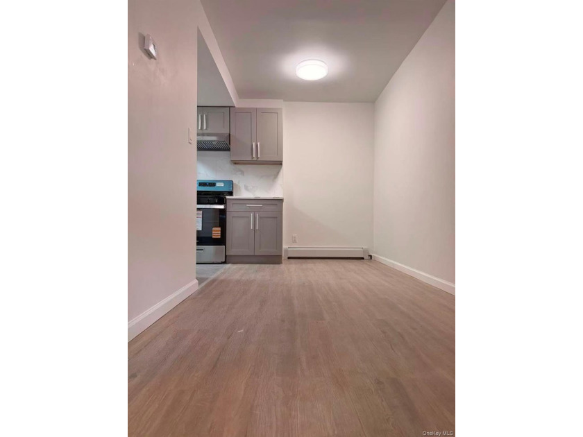 Newly renovated 1-bedroom condo with a spacious living room and - photo 5