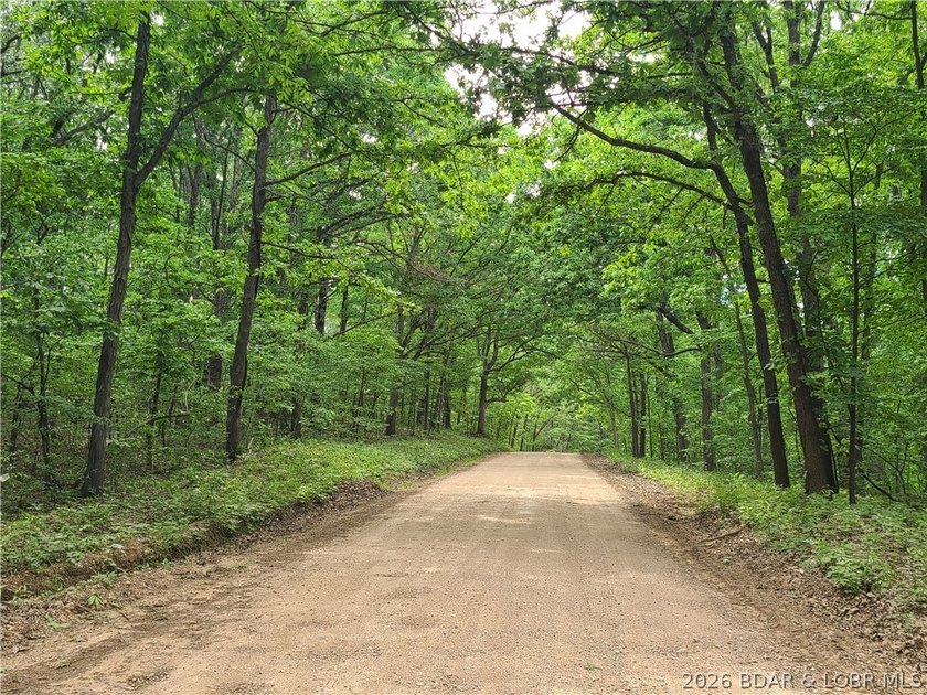 Featuring five acres of wooded privacy and a rustic cabin. Enjoy - photo 4