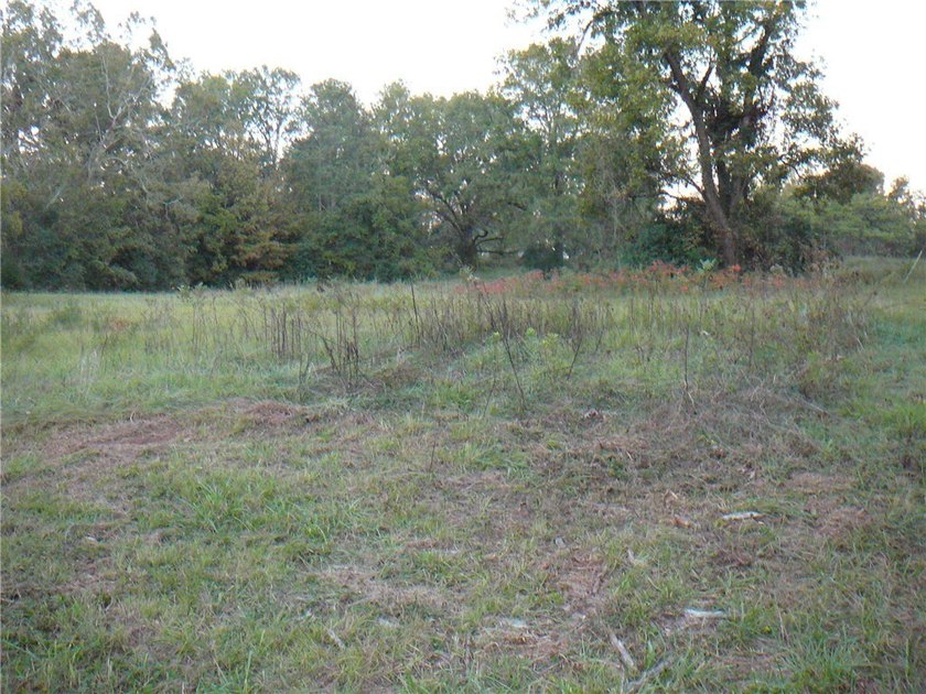 4+ Acres, cleared and level. Water and Sewer available. Located - photo 2