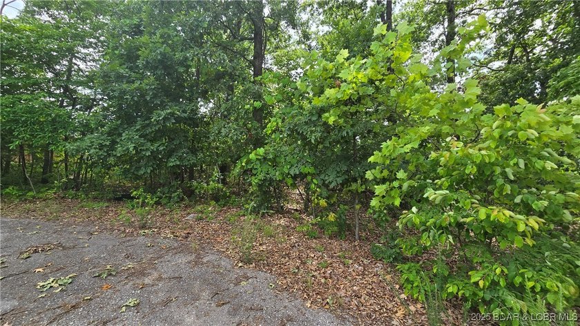 This expansive 5-acre commercial lot boasts exceptional frontage - photo 6