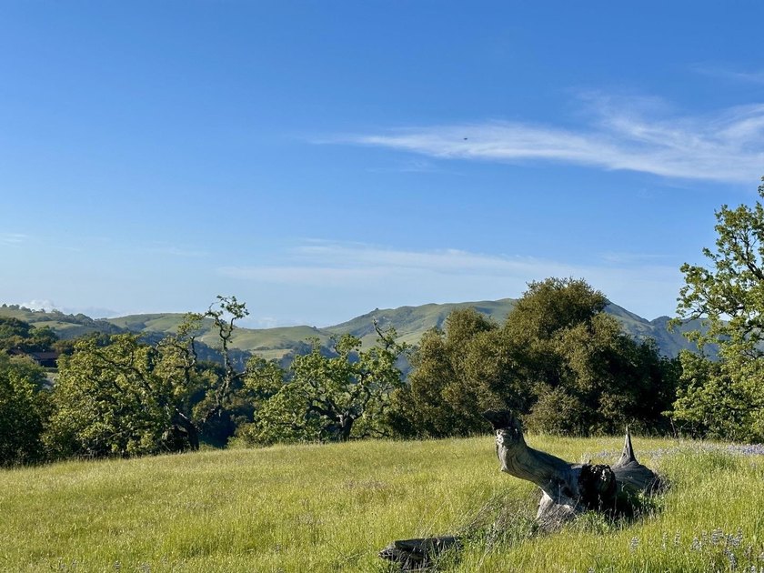 Located in the coveted Touche Pass area of the Preserve just - photo 11