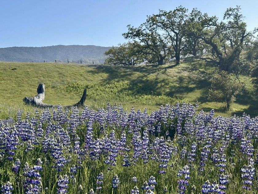 Located in the coveted Touche Pass area of the Preserve just - photo 16