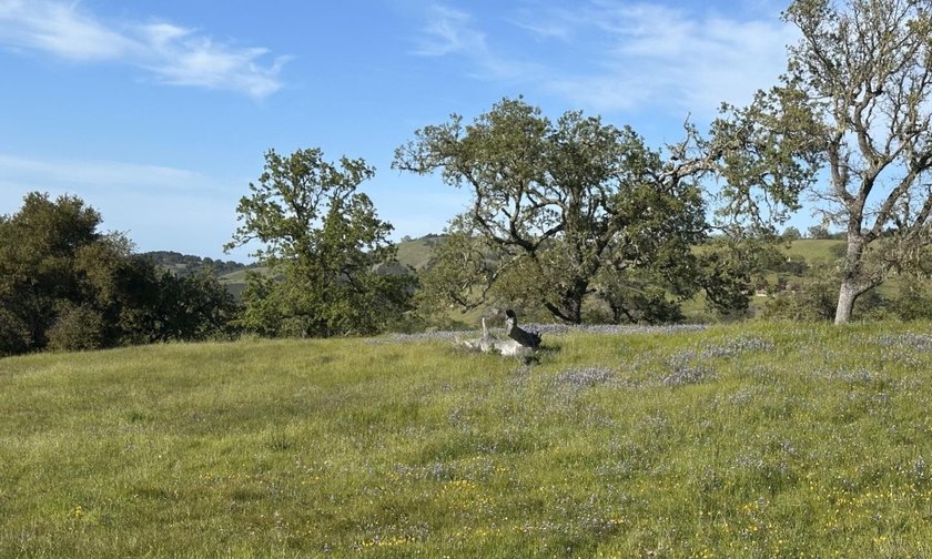 Located in the coveted Touche Pass area of the Preserve just - photo 17