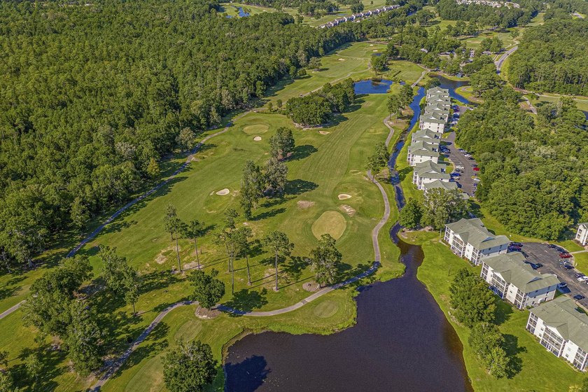 Welcome to 597 Blue River Court, a bright and well-maintained - photo 46