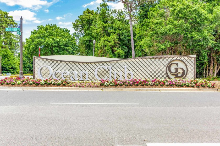 Experience coastal luxury at its finest within this Turn-key - photo 50