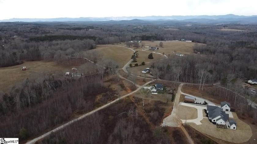 Beautiful 3.25 acre homesite offering privacy and space to build - photo 3
