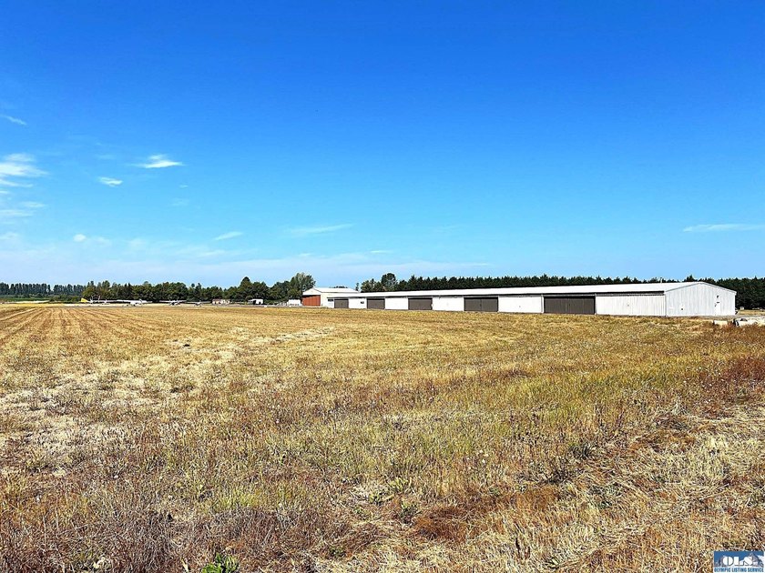 Fly for business or pleasure! This beautiful property with - photo 8
