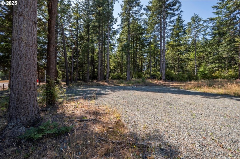 BANDON COMMERCIAL ACRE with 206 feet of Highway 101 frontage - photo 6