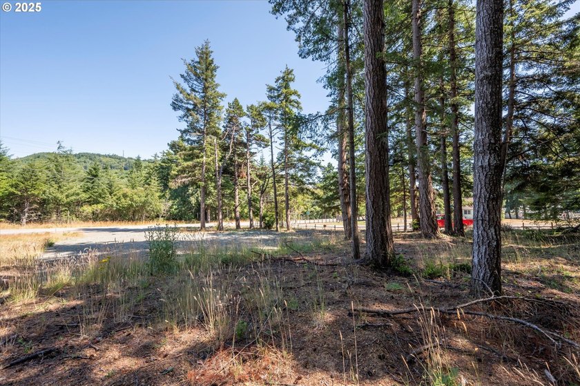 BANDON COMMERCIAL ACRE with 206 feet of Highway 101 frontage - photo 7