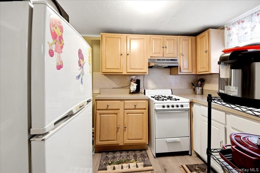 Morris Park Brick Detached Single family with finished basement - photo 23