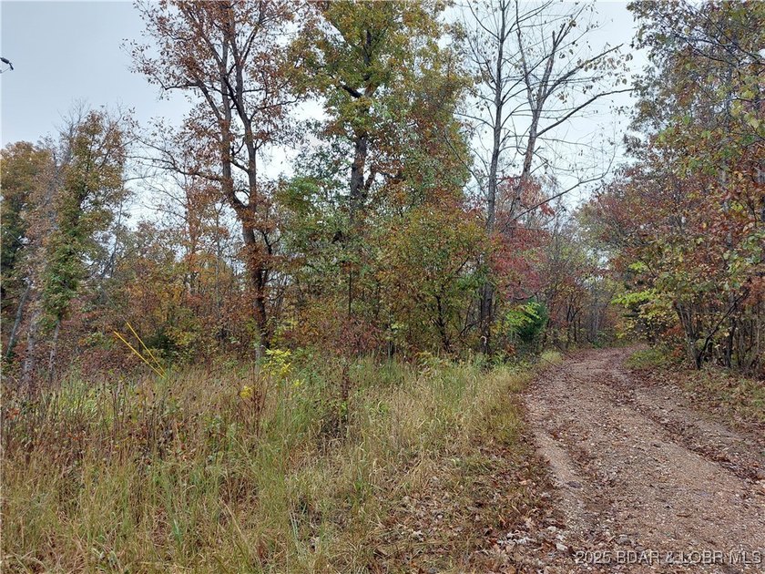 6+/- Acres with electric access in multiple areas saving you - photo 2