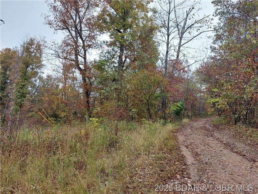 6+/- Acres with electric access in multiple areas saving you - photo 2