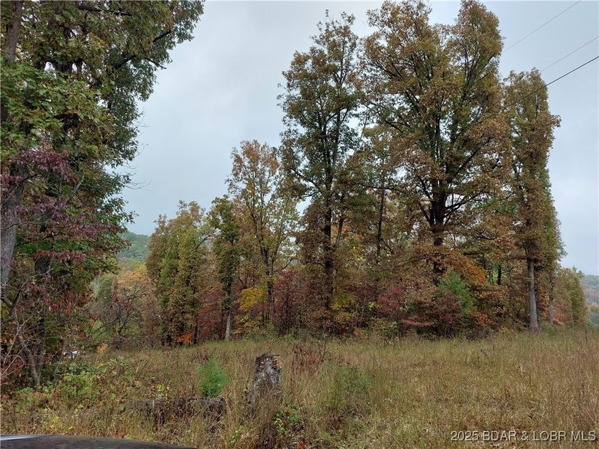6+/- Acres with electric access in multiple areas saving you - photo 5