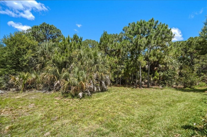 Private outdoor oasis with views of the preserve. View nature at - photo 30