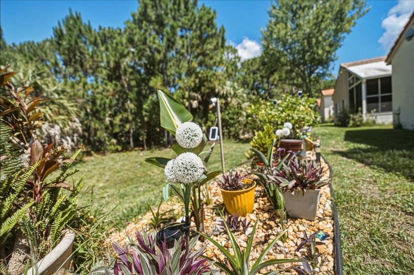 Private outdoor oasis with views of the preserve. View nature at - photo 37