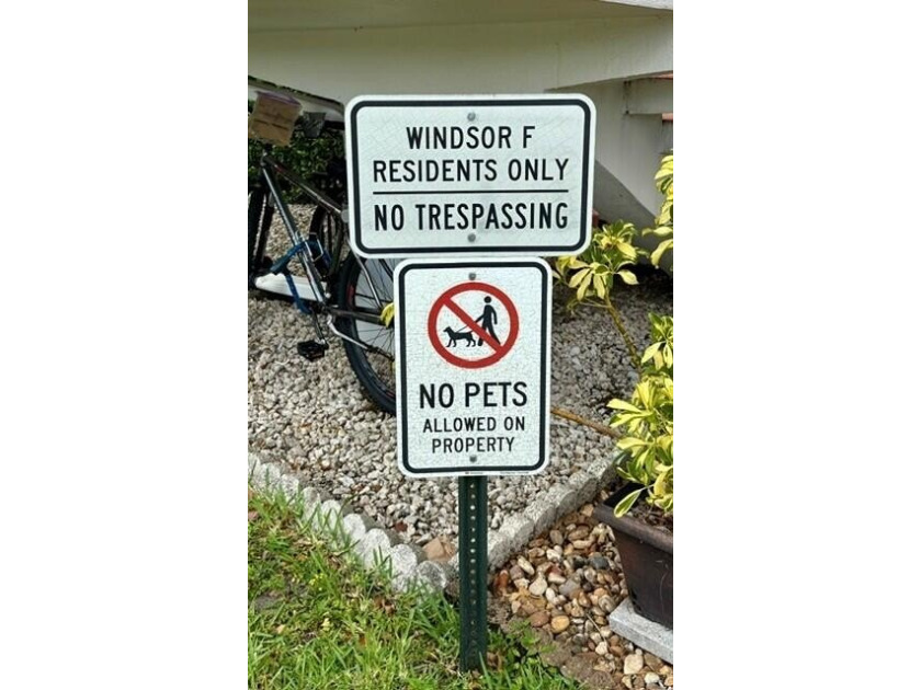 NO SMOKING BUILDING* NO PETS. * NO CORPORATE OWNERS* AI PHOTOS - photo 29