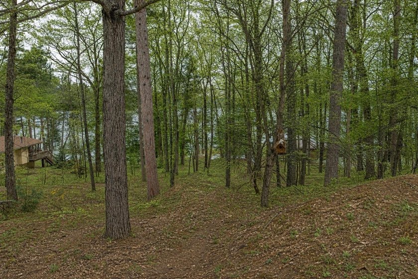 Discover a rare Northwoods opportunity featuring a beautifully - photo 47