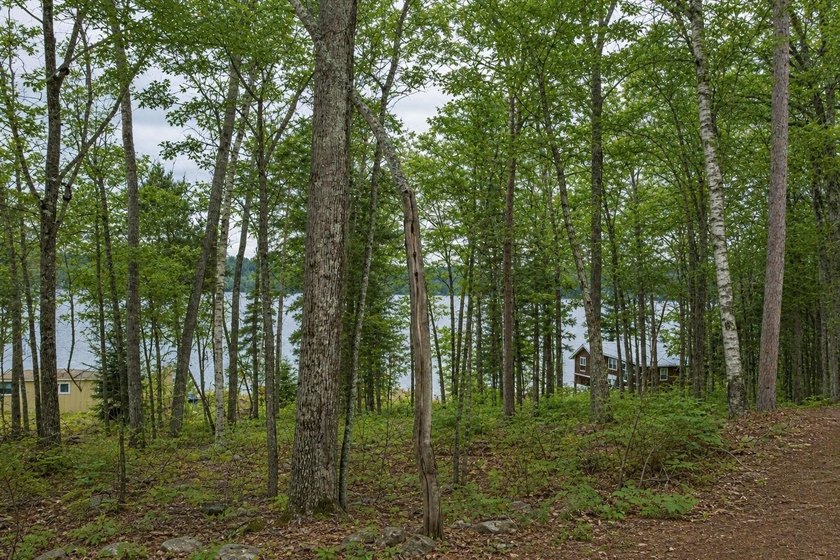 Discover a rare Northwoods opportunity featuring a beautifully - photo 48