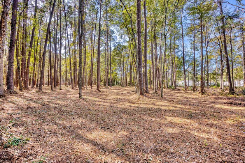 THIS IS A BEAUTIFUL PIECE OF PROPERTY 3.32 ACRES. BUILD YOUR - photo 11