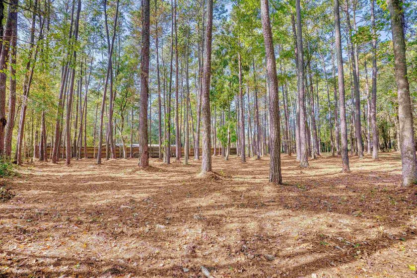 THIS IS A BEAUTIFUL PIECE OF PROPERTY 3.32 ACRES. BUILD YOUR - photo 12