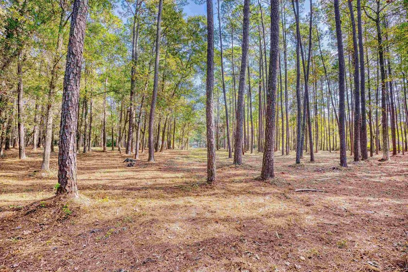 THIS IS A BEAUTIFUL PIECE OF PROPERTY 3.32 ACRES. BUILD YOUR - photo 16