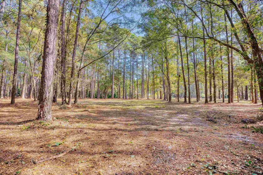 THIS IS A BEAUTIFUL PIECE OF PROPERTY 3.32 ACRES. BUILD YOUR - photo 20