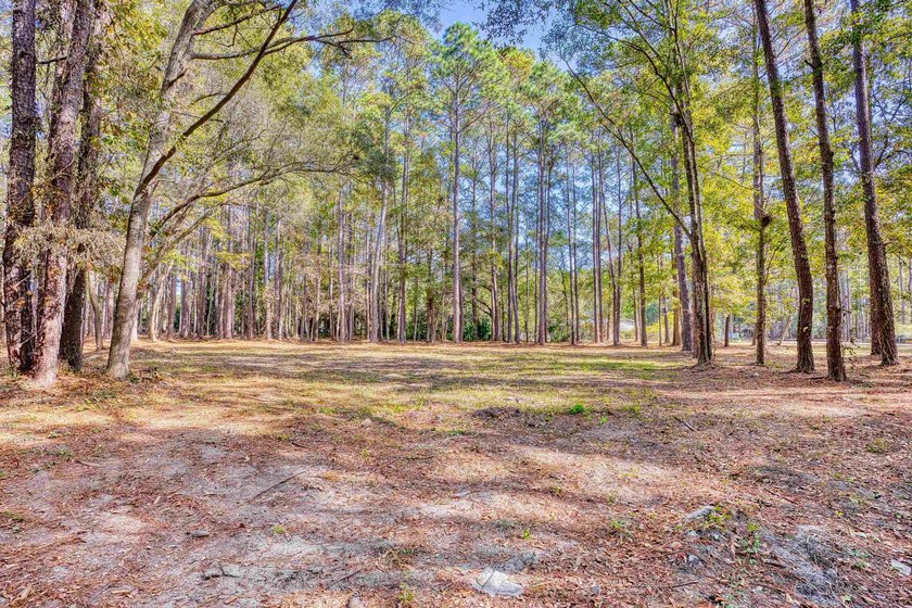 THIS IS A BEAUTIFUL PIECE OF PROPERTY 3.32 ACRES. BUILD YOUR - photo 21