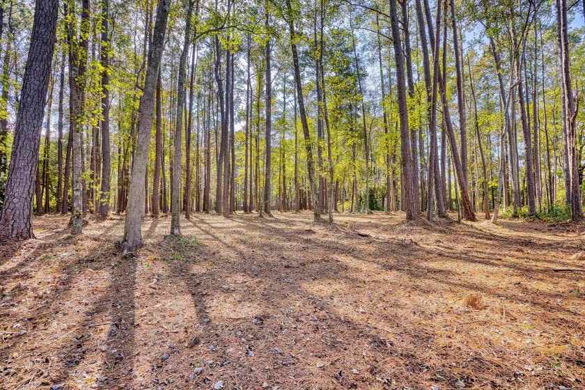THIS IS A BEAUTIFUL PIECE OF PROPERTY 3.32 ACRES. BUILD YOUR - photo 23