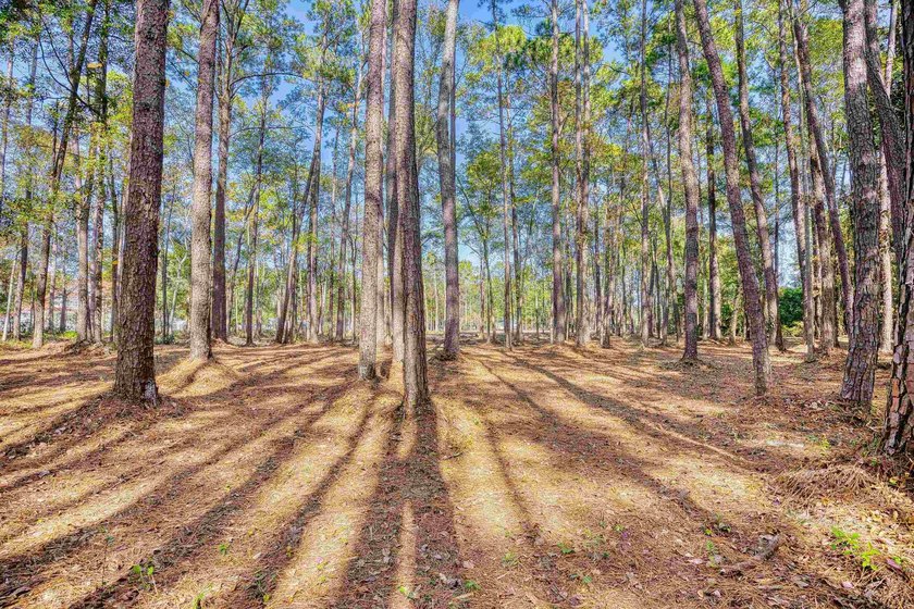 THIS IS A BEAUTIFUL PIECE OF PROPERTY 3.32 ACRES. BUILD YOUR - photo 24