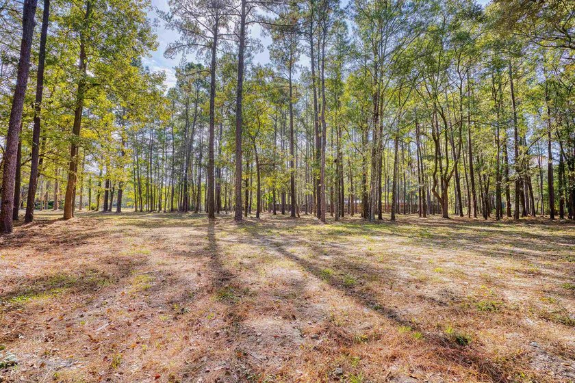 THIS IS A BEAUTIFUL PIECE OF PROPERTY 3.32 ACRES. BUILD YOUR - photo 26