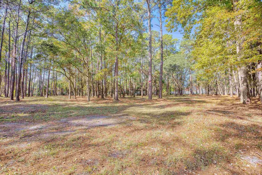 THIS IS A BEAUTIFUL PIECE OF PROPERTY 3.32 ACRES. BUILD YOUR - photo 28