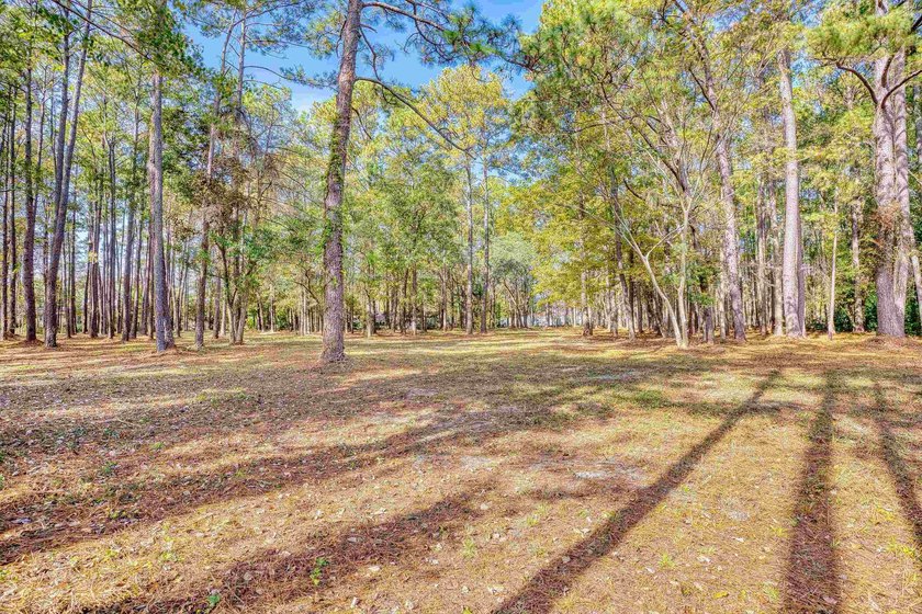 THIS IS A BEAUTIFUL PIECE OF PROPERTY 3.32 ACRES. BUILD YOUR - photo 30
