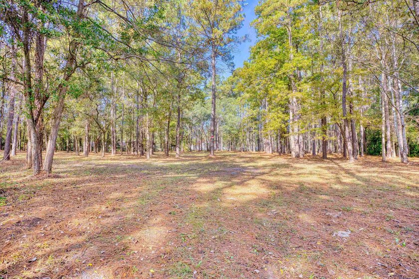THIS IS A BEAUTIFUL PIECE OF PROPERTY 3.32 ACRES. BUILD YOUR - photo 31