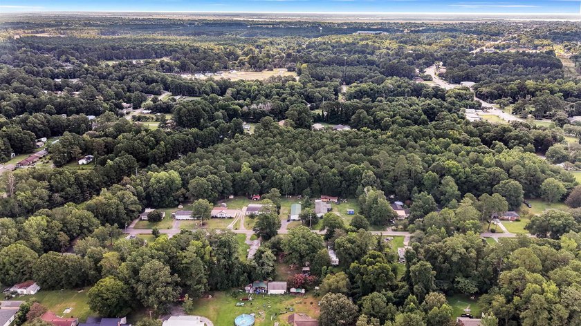 Located inside the Georgetown city limits, this 3-bedroom - photo 25