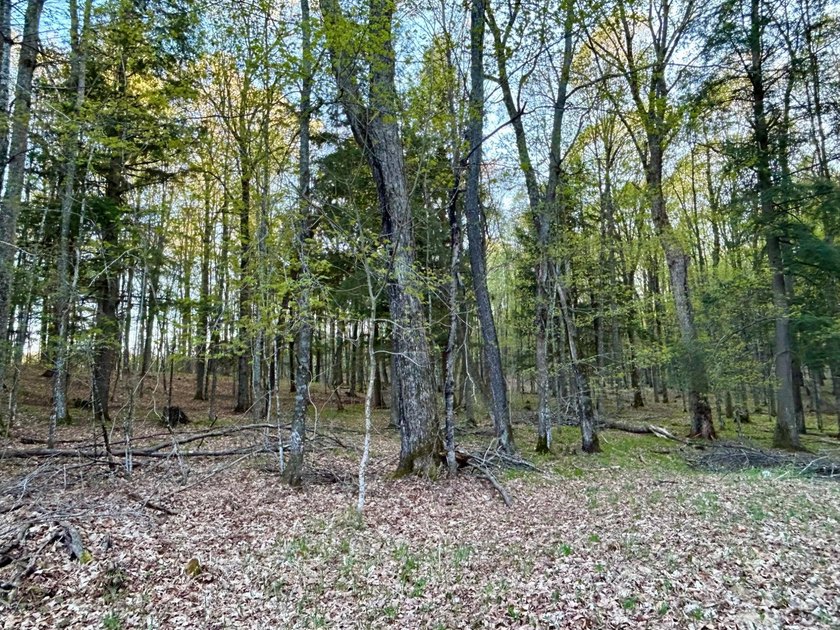 Here's your new UP NORTH Property! This 2 BR/1Bth, 2017 build - photo 21