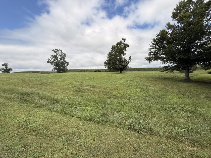Build your dream home on this beautiful 1.42 acre lot located in - photo 11