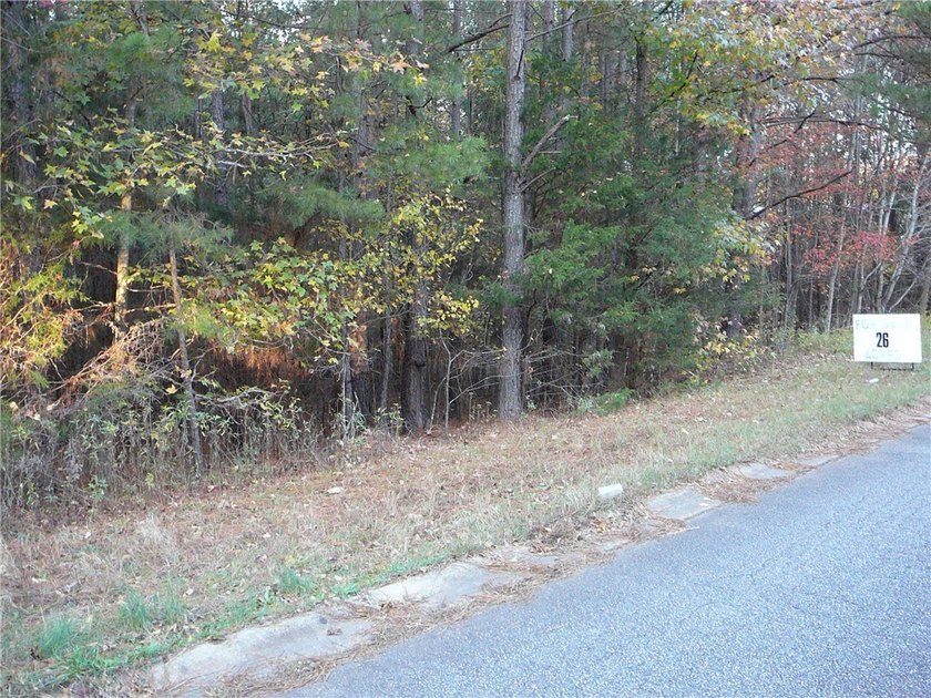 This is an ideal location for apartments, single family houses - photo 5