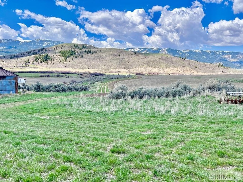 This property is currently under contract: The seller is seeking - photo 9